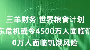 三羊财务 世界粮食计划署：中东危机或令4500万人面临饥饿风险